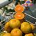 《火爆》湖北果冻橙，九月红皮薄多汁，无核无渣，口感好。