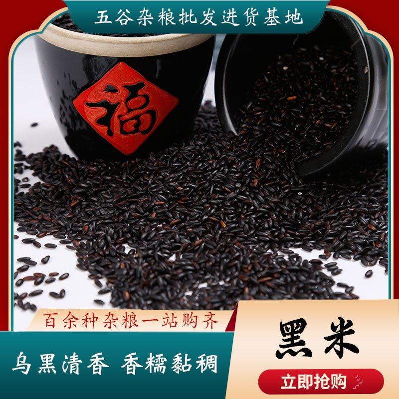 东北五常黑米碎纯度好颜色黑亮口感好
