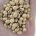 甘肃环县农产品优质黄豆（大豆）供应对接全国客商可视频对接