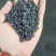 甘肃庆阳环县精品扁黑豆自家种植保质保量可视频产地看