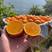 《精品》湖北精品脐橙九月红大量上市货源充足规格齐全