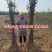 正宗黑钻苹果树苗盆栽地栽耐寒冰糖心苹果南北方四季种植当年
