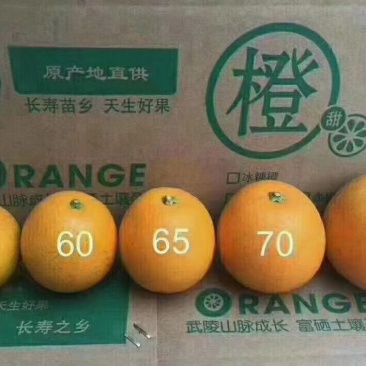 65以上麻阳冰糖橙对接全国批发市场电商档口，商超团购外贸
