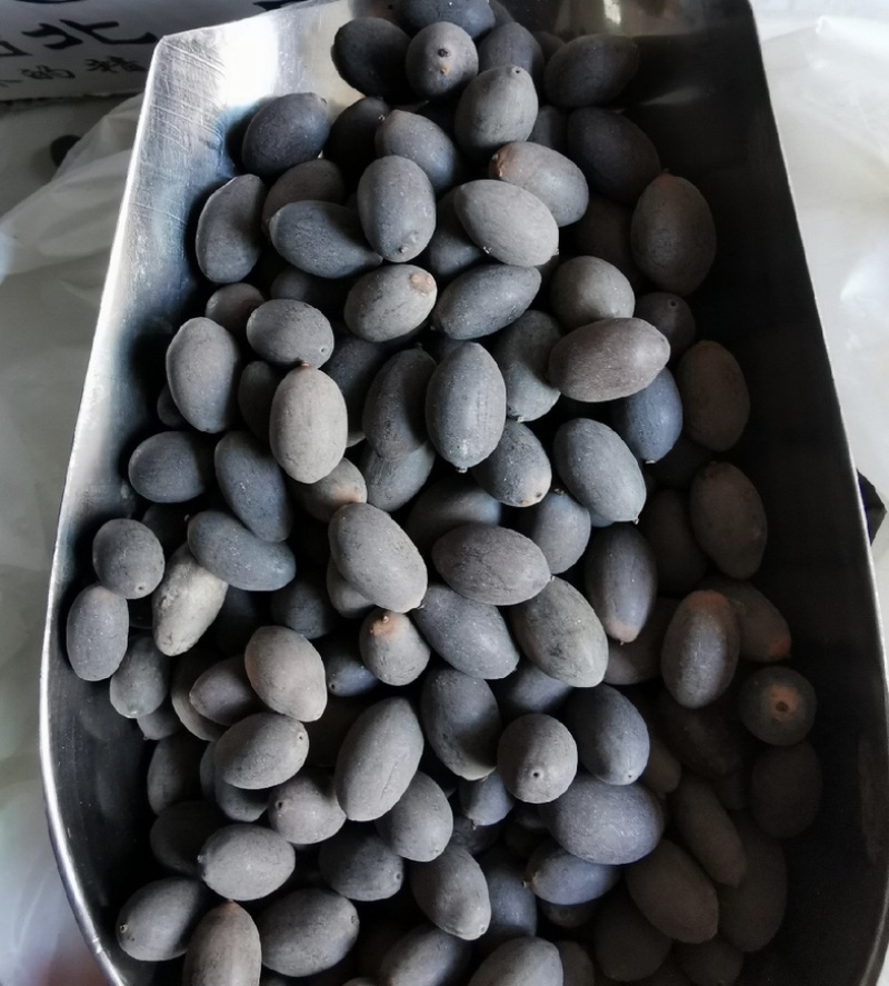 石莲子统货产地湖南振兴药材批发量大从优