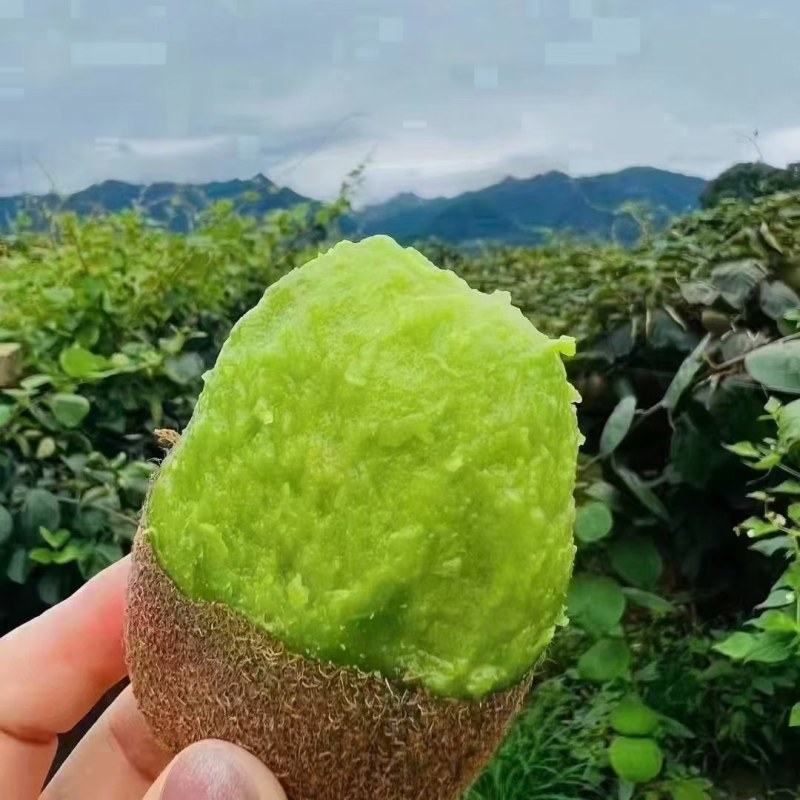眉县太白山徐香猕猴桃