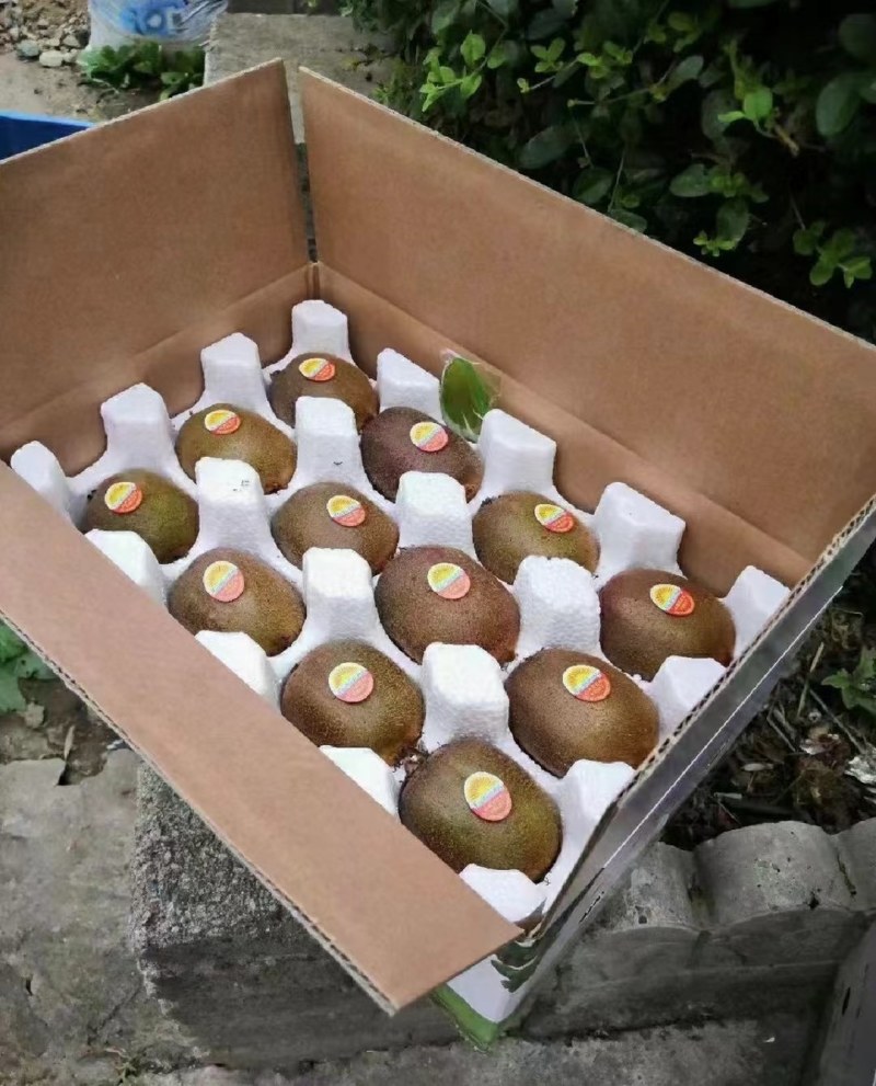 眉县太白山徐香猕猴桃
