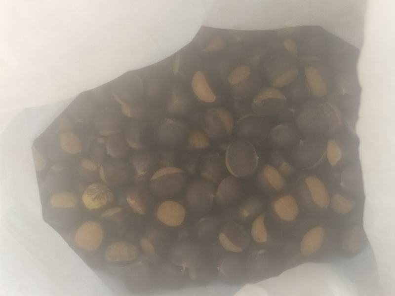 密云栗子