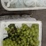 青提红提