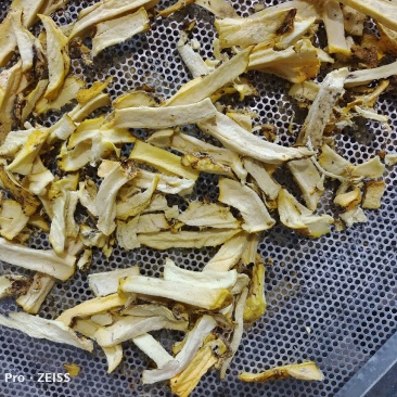 魔芋干及薄皮泡核桃