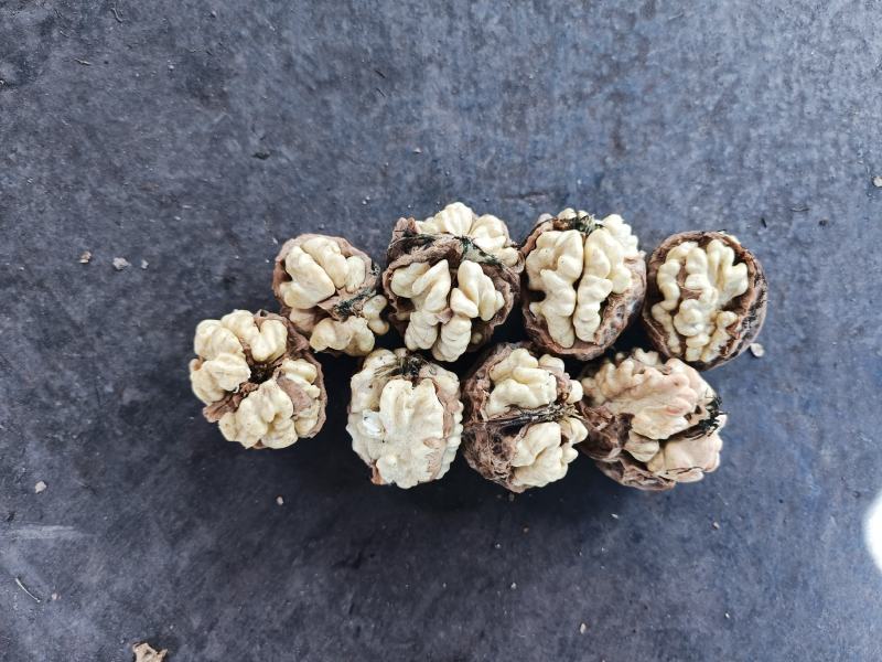 魔芋干及薄皮泡核桃