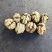 魔芋干及薄皮泡核桃