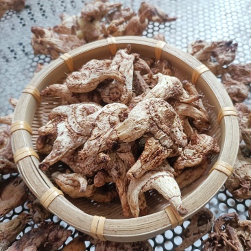 白芨干货，个子，片，白芨鲜货支持电商合作，可供应鲜货干货
