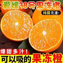 【爱媛38号】爱媛果冻橙对接商超皮薄多汁全国欢迎咨询