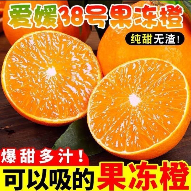 【爱媛38号】爱媛果冻橙对接商超皮薄多汁代发全国欢迎咨询