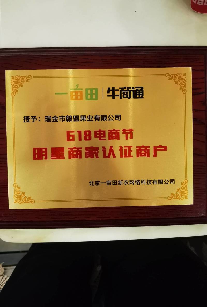 【赣南脐橙苗】赣南早熟脐橙苗提供技术支持保障品种