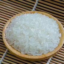 2023东北特产富硒大米，富硒水稻大量上市不抛光不打蜡