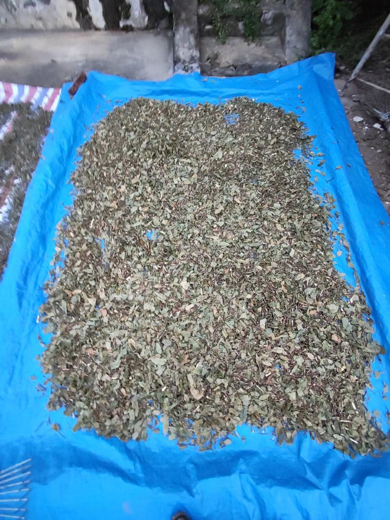 葫芦茶葫芦茶根中药材中草药原料批发葫芦茶
