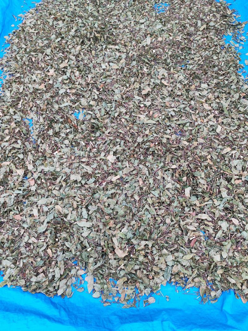 葫芦茶葫芦茶根中药材中草药原料批发葫芦茶