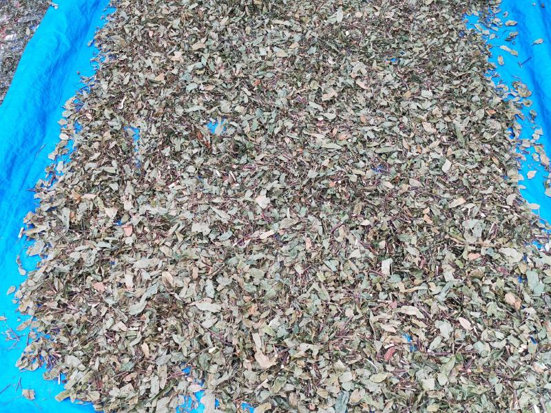 葫芦茶葫芦茶根中药材中草药原料批发葫芦茶