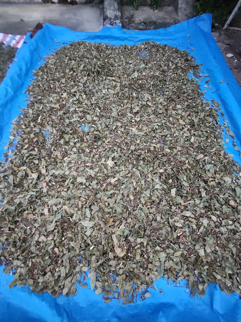 葫芦茶葫芦茶根中药材中草药原料批发葫芦茶