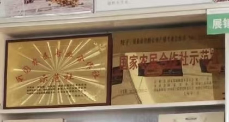 干枣软枣园枣骏枣免洗红枣烘干大枣
