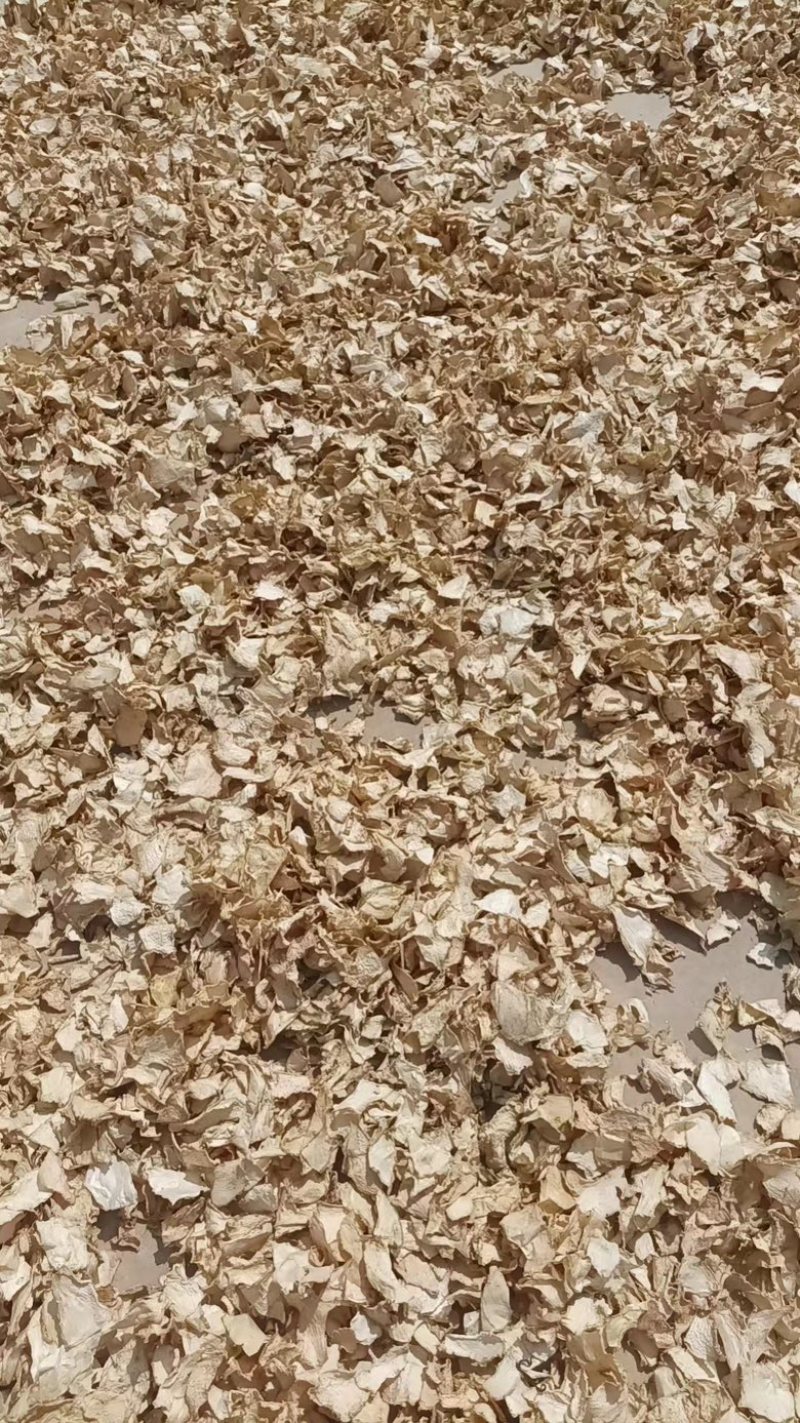 冬瓜干干冬瓜片冬瓜条菏泽农产品