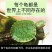 七彩小乌龟网红彩色宠物龟活体乌龟苗炫彩观赏原色工厂直销