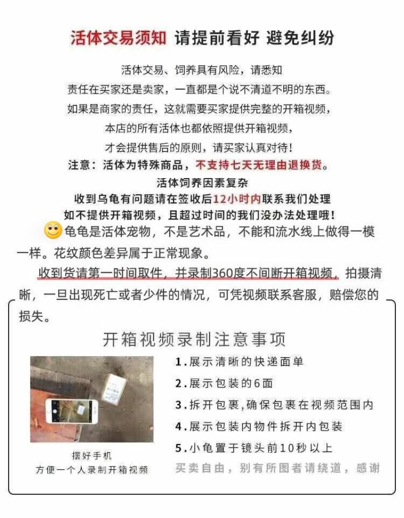 七彩小乌龟网红彩色宠物龟活体乌龟苗炫彩观赏原色工厂直销