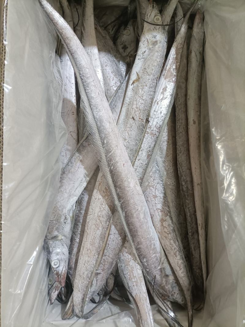 山东精品油带