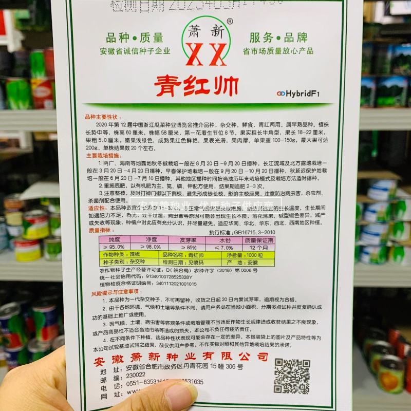精品光椒萧新青红帅辣椒种子青红泡椒种子辣椒红椒种子