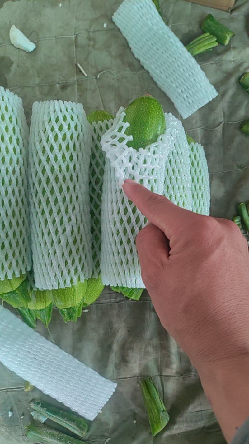 绿皮西葫芦0.6斤以上