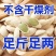 南瓜籽新货现炒大颗粒原味盐焗味货源充足全国发货