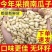 南瓜籽新货现炒大颗粒原味盐焗味货源充足全国发货