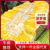 海南菠萝蜜一件代发包邮青皮干苞黄肉红肉泰8菠萝蜜