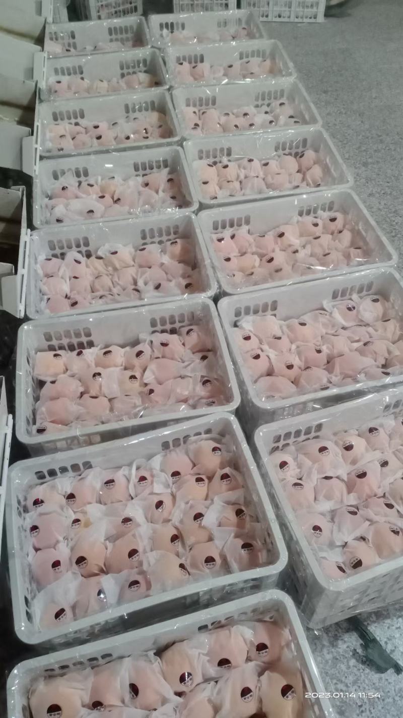 诚信代办，四川脐橙，产地发货供应电商品质好