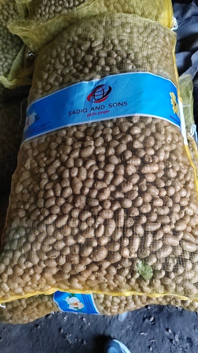 产地直发优质白玉山药豆规格齐全价格合理！！
