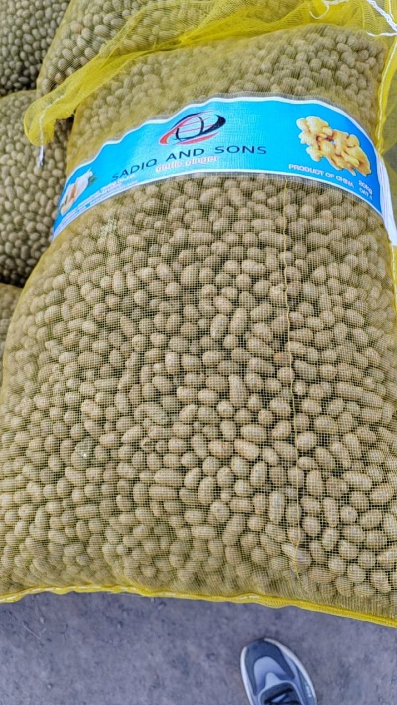产地直发优质白玉山药豆规格齐全价格合理！！