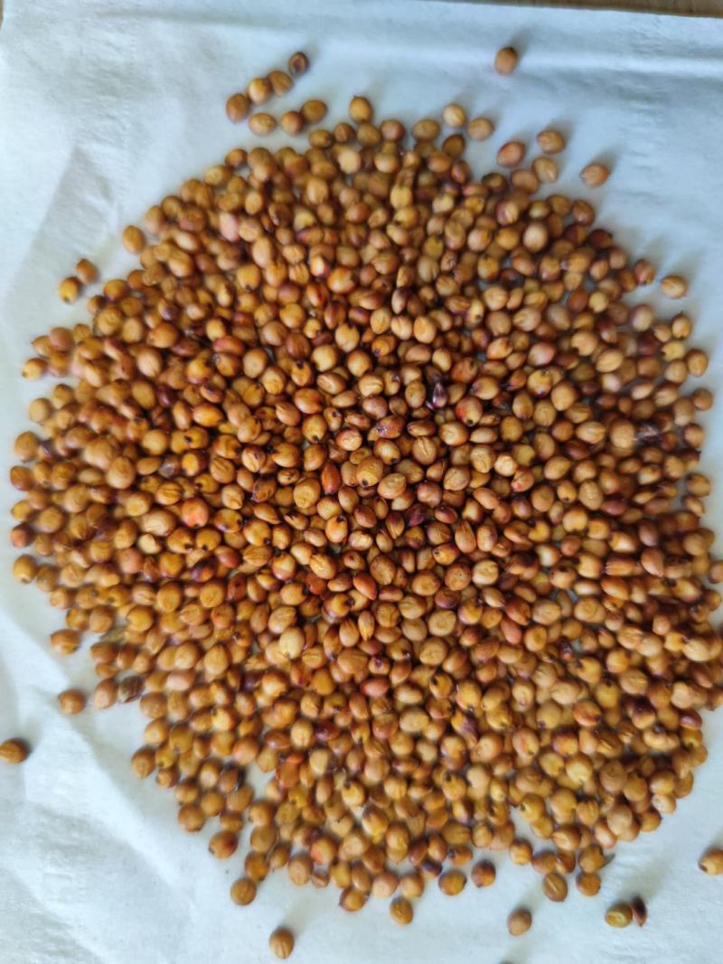 红缨子高粱小红梁精品小颗粒超高品质