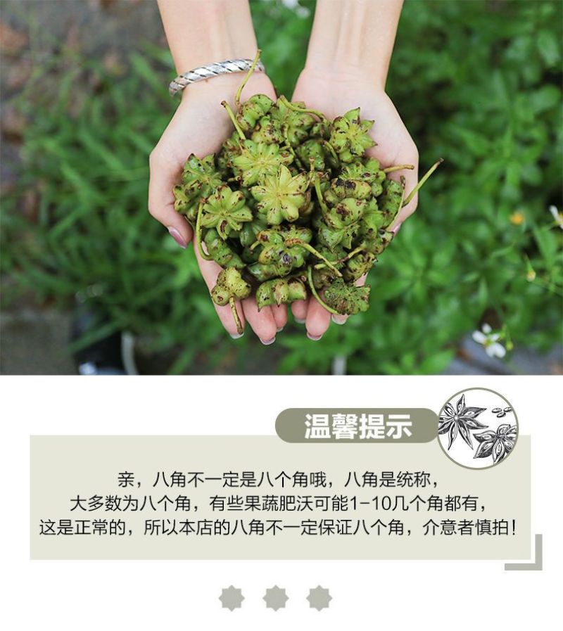 八角大料特一级新香叶桂皮花椒辣椒茴香调料组合卤味火锅调料