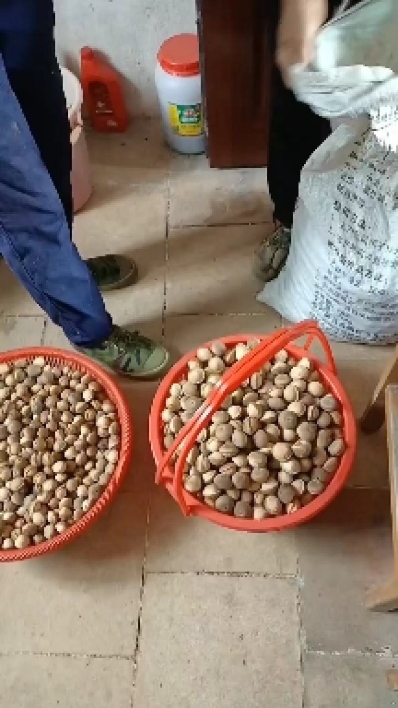 粒粒有肉簿壳的风流果，产地直销，当季新货，一百斤可议价。