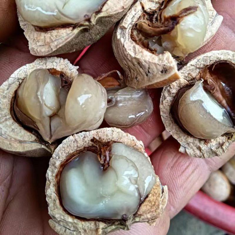 粒粒有肉簿壳的风流果，产地直销，当季新货，一百斤可议价。