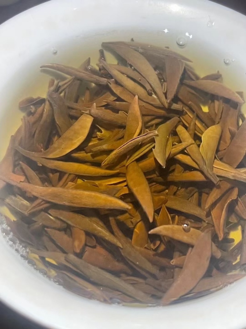 白毫银针老银针米芽回味浓郁清甜非常不错的一款银针