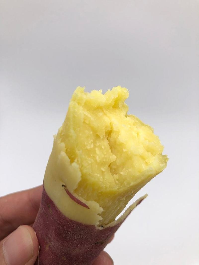 陕西虢王三十万斤板栗红薯上市欢迎采购