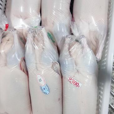 樱桃谷瘦肉型白条鸭大厂直销全国发货货源充足
