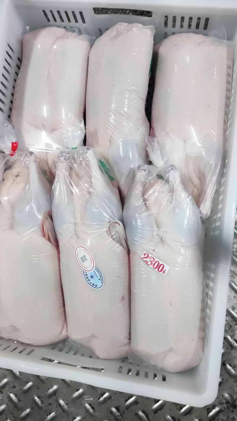 樱桃谷瘦肉型白条鸭大厂直销全国发货货源充足