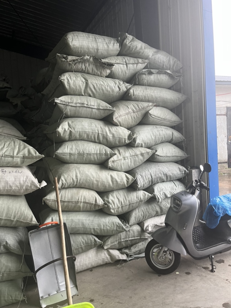 东北黑木耳各种档位秋耳，黑山，全都有货性价比高