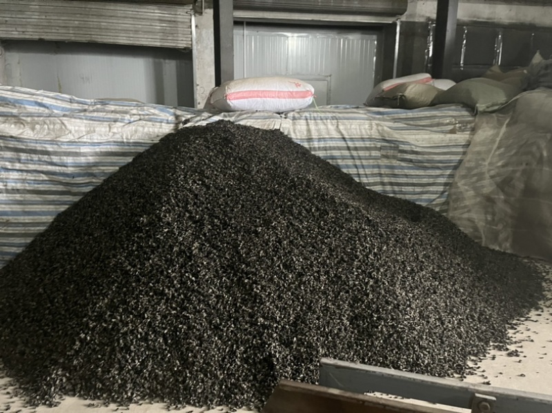 东北黑木耳各种档位秋耳，黑山，全都有货性价比高