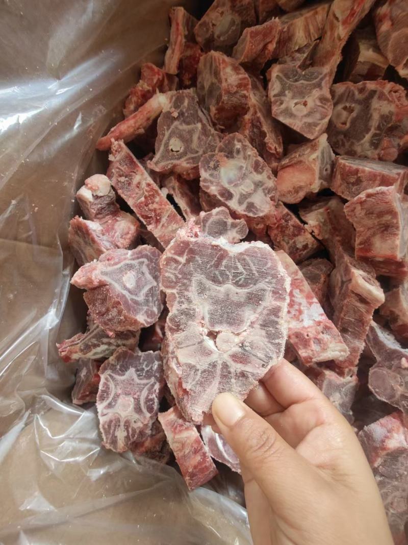 羔羊羊蝎子整根的带尾尖适合羊蝎子火锅
