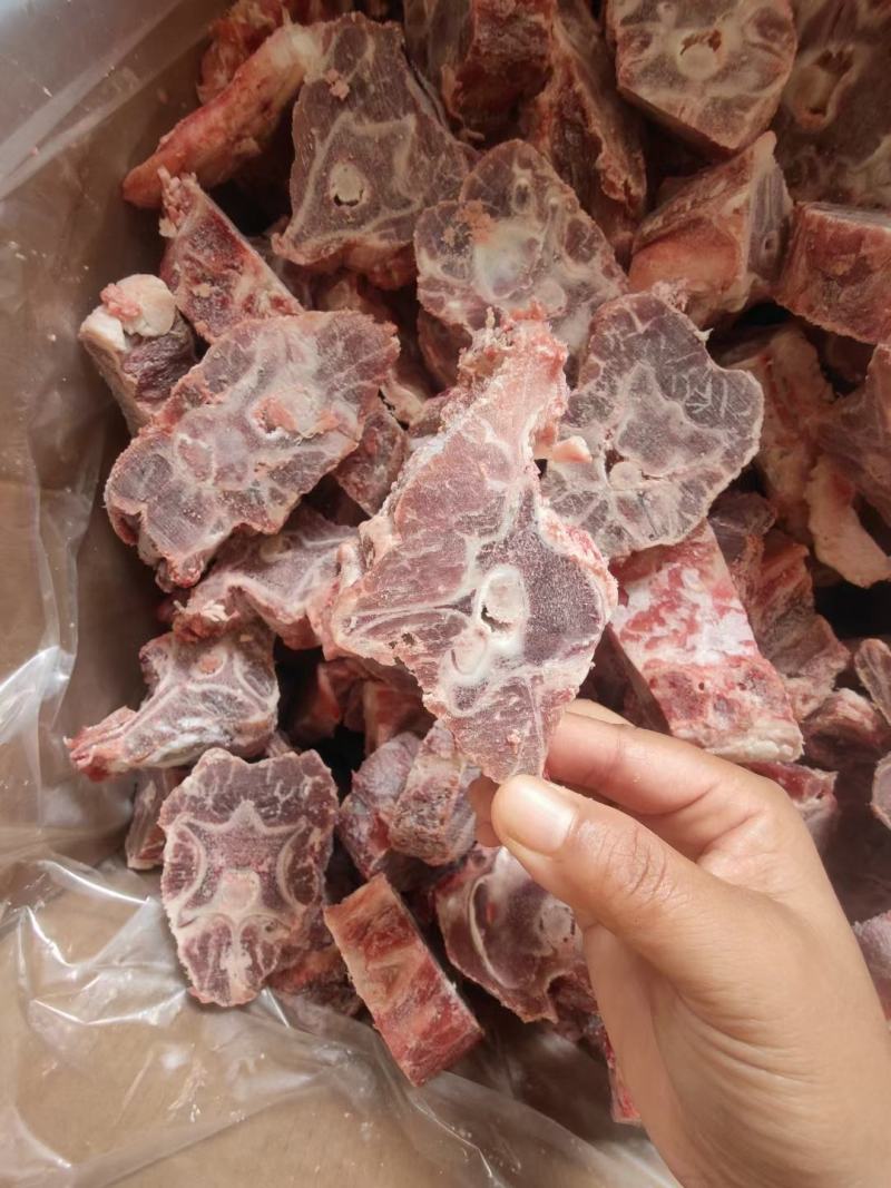 羔羊羊蝎子整根的带尾尖适合羊蝎子火锅