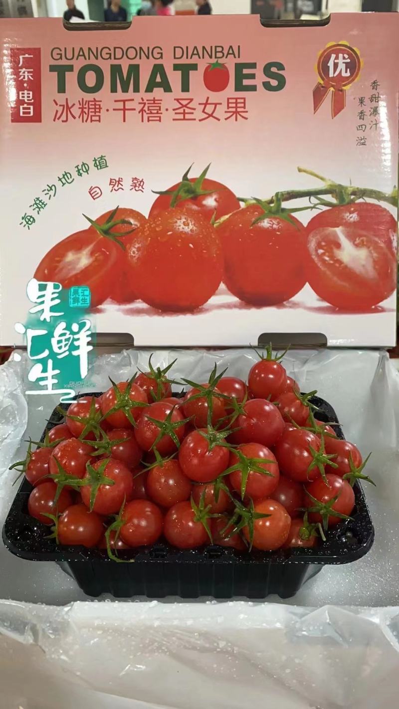 电白千禧圣女果产地直发社区团购超市平台电商市场一件代发